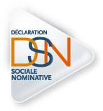 logo-declaration_sociale_nominative-dsn